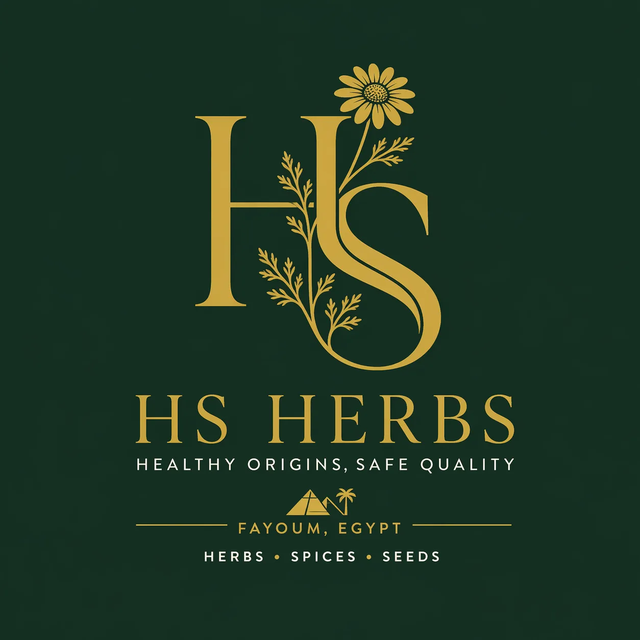 HS Herbs official logo representing Hatem Shaban’s commitment to premium Egyptian botanical exports.