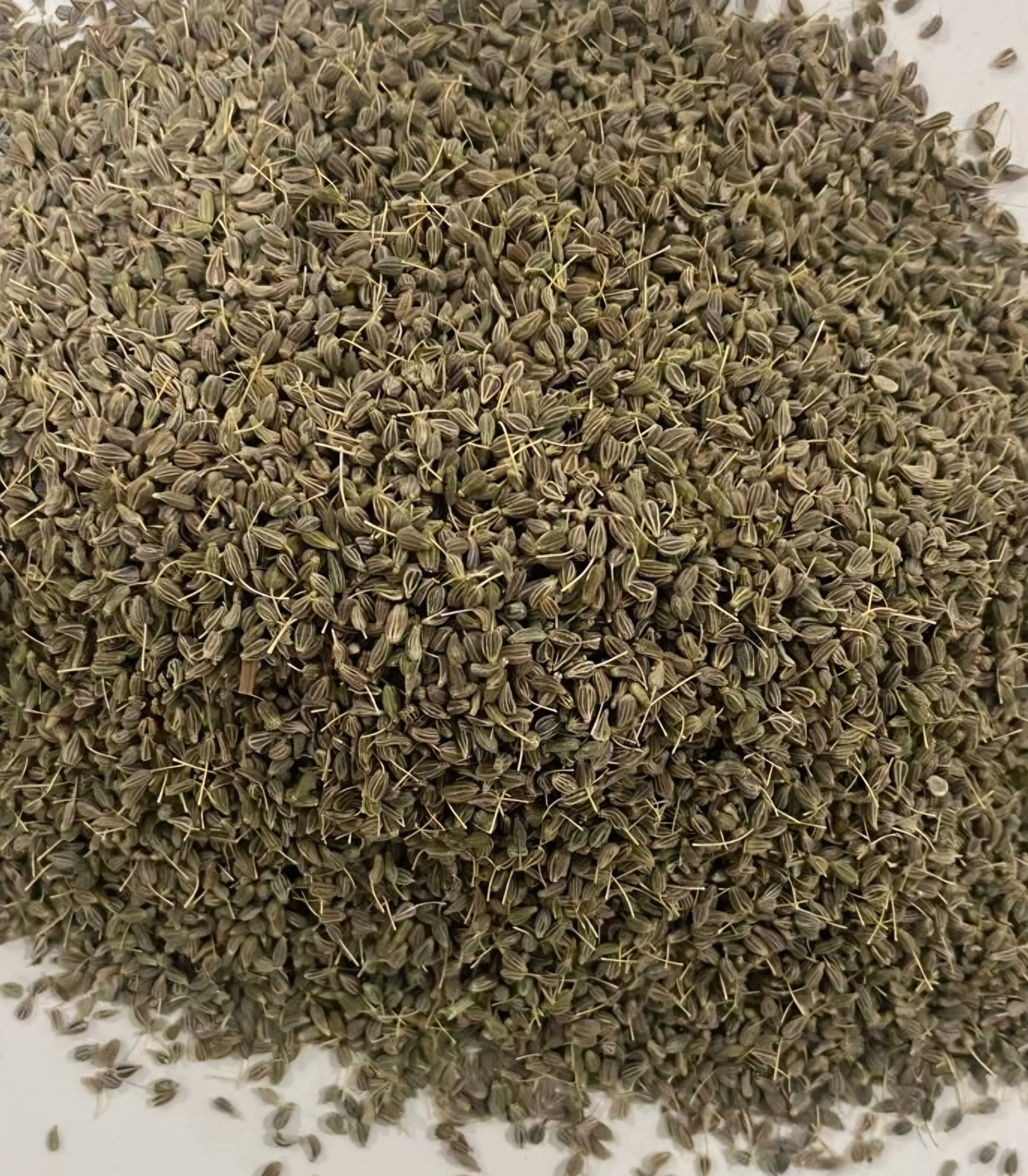 Anise Seeds