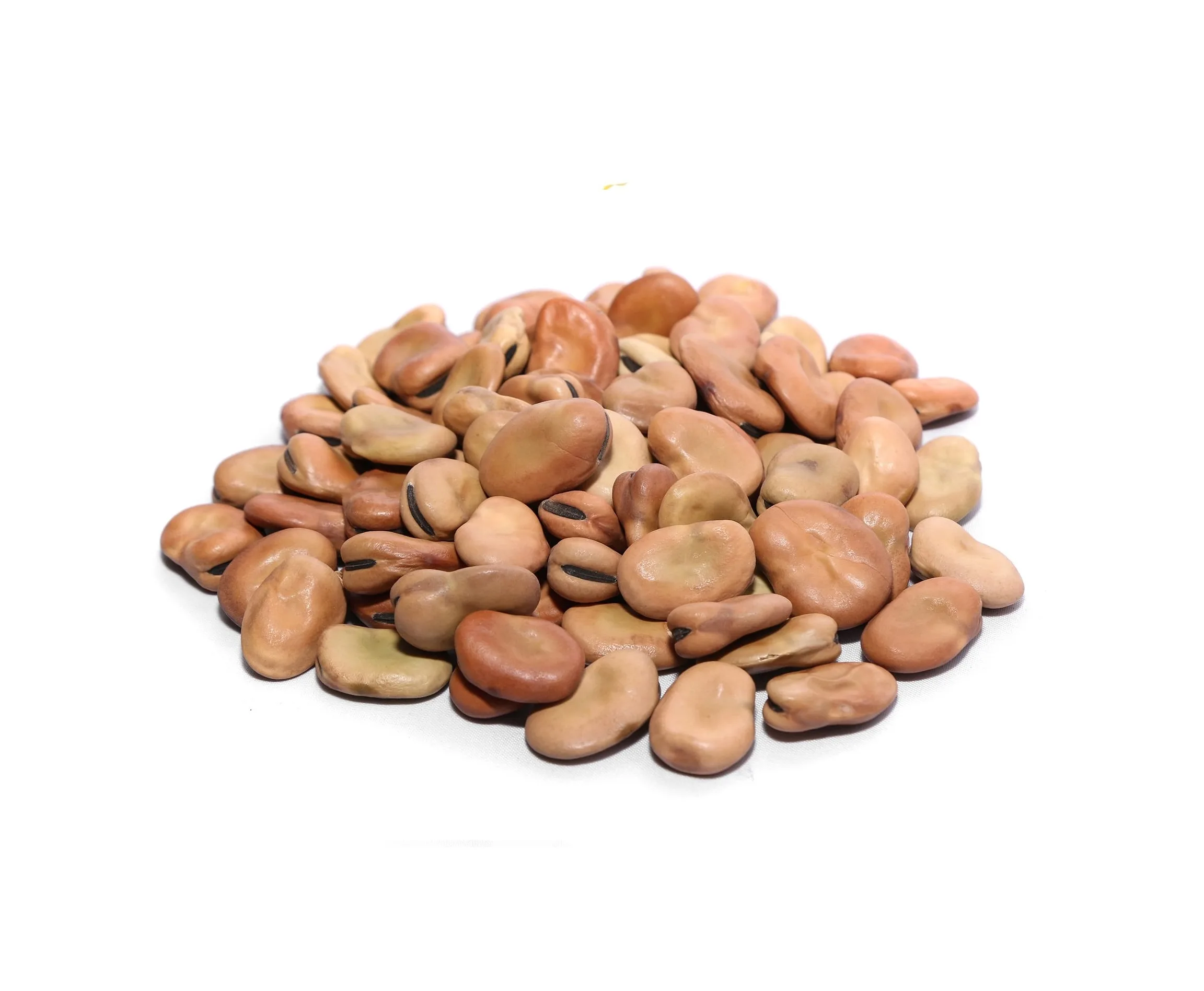 Broad Beans (Fava)