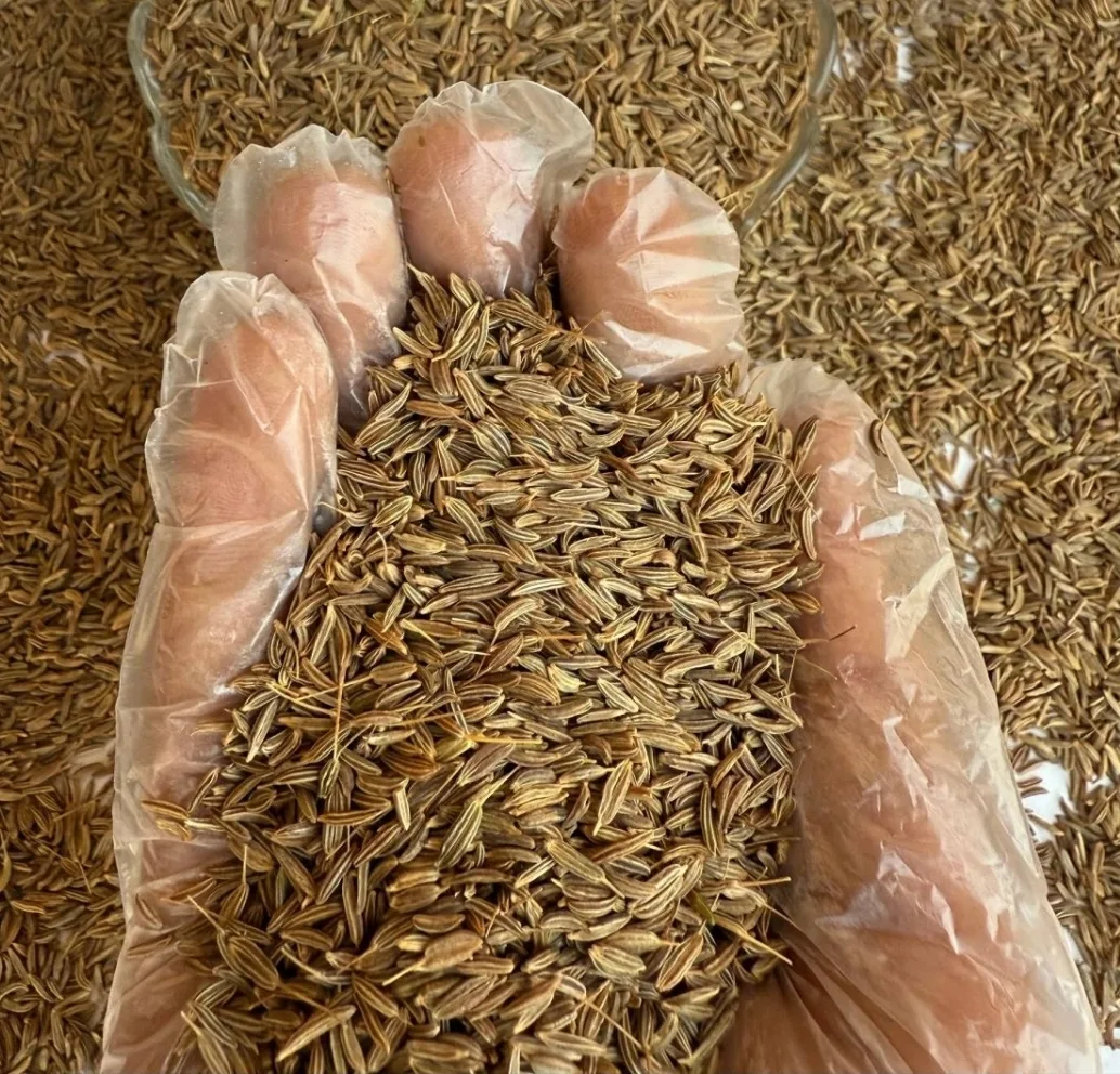 Caraway Seeds