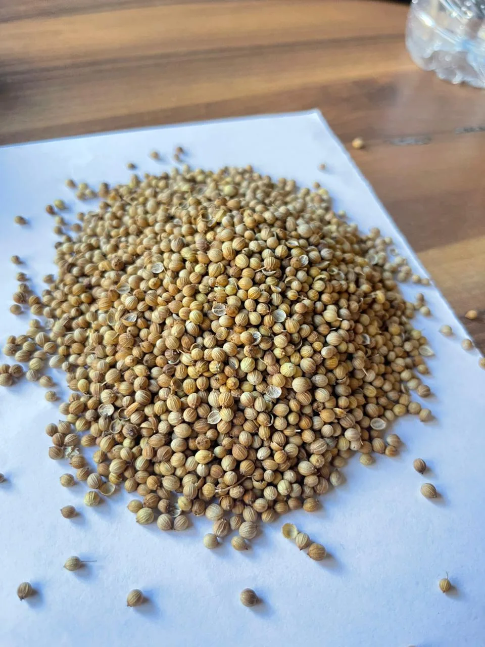 Coriander Seeds