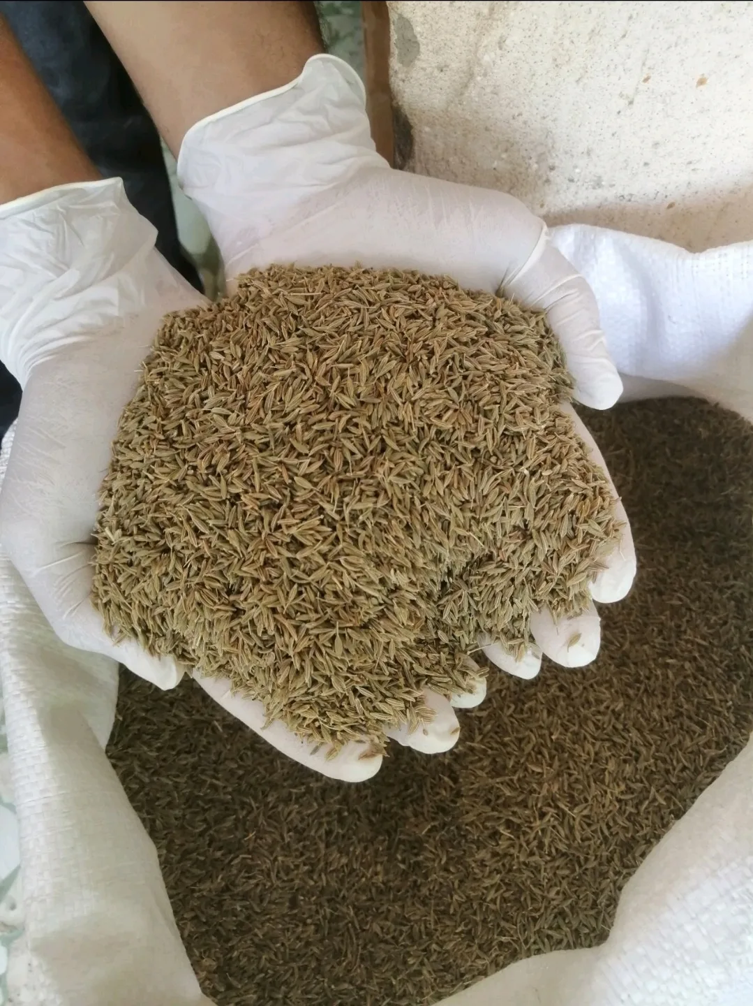 Cumin Seeds