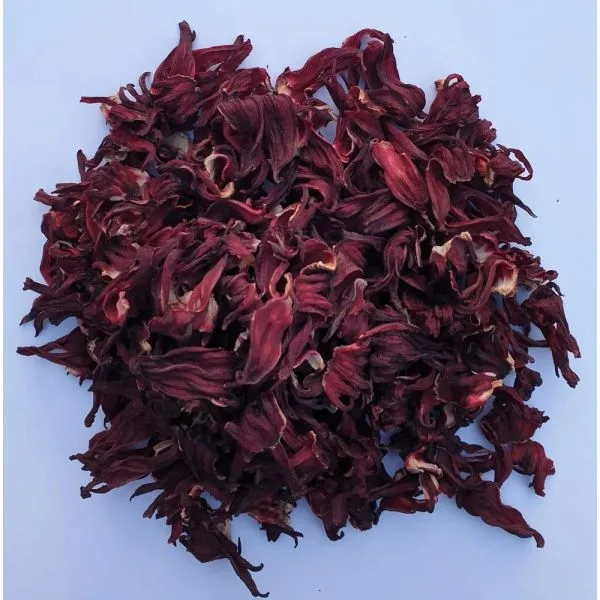 Egyptian Hibiscus