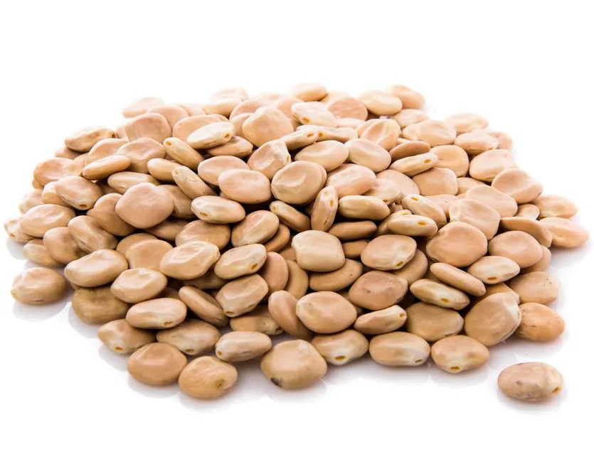 Lupine (Tirmis)