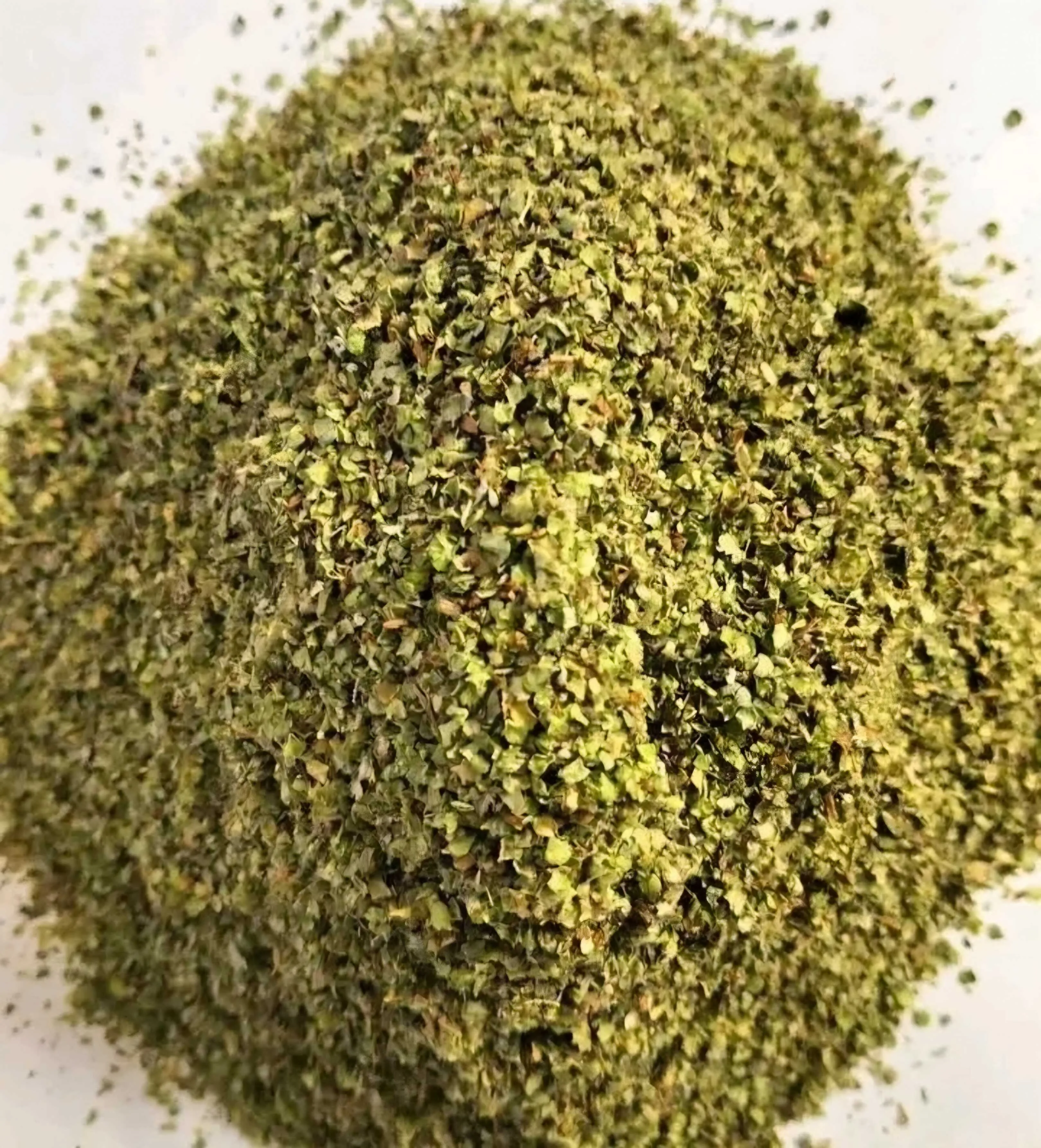 Marjoram
