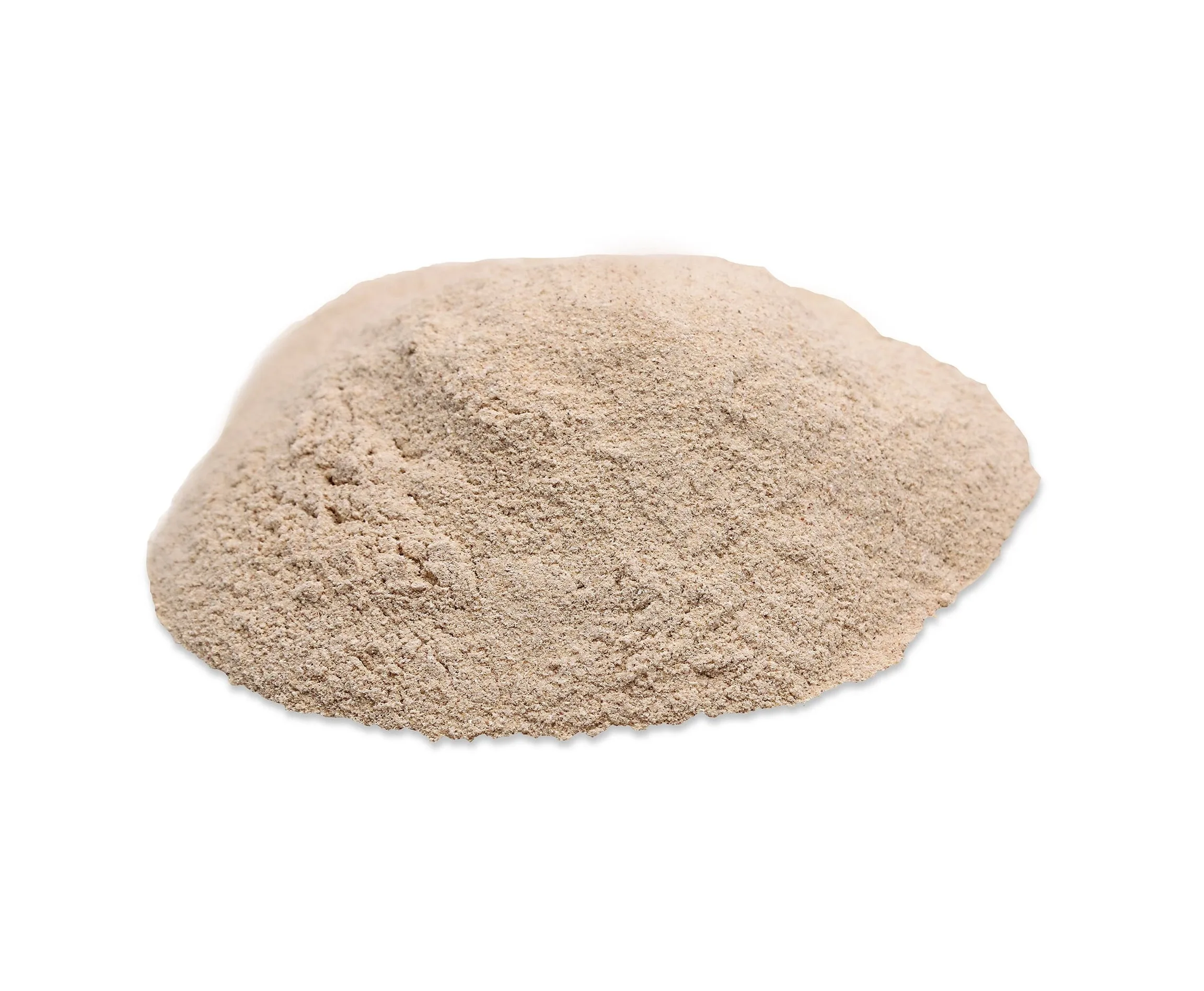 Onion Powder