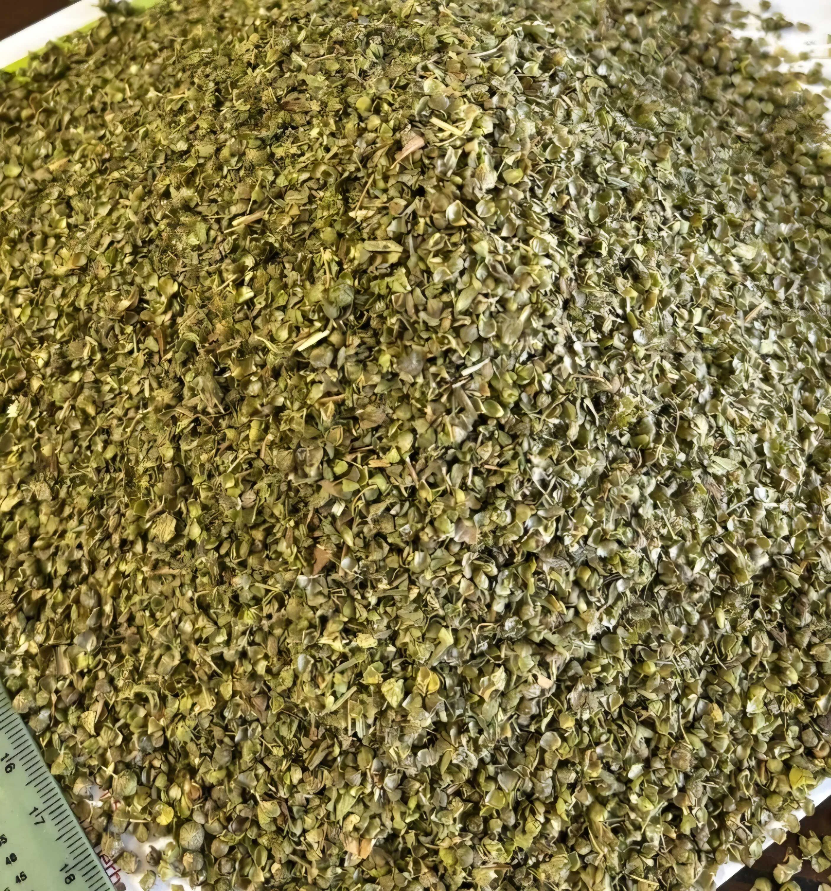 Oregano