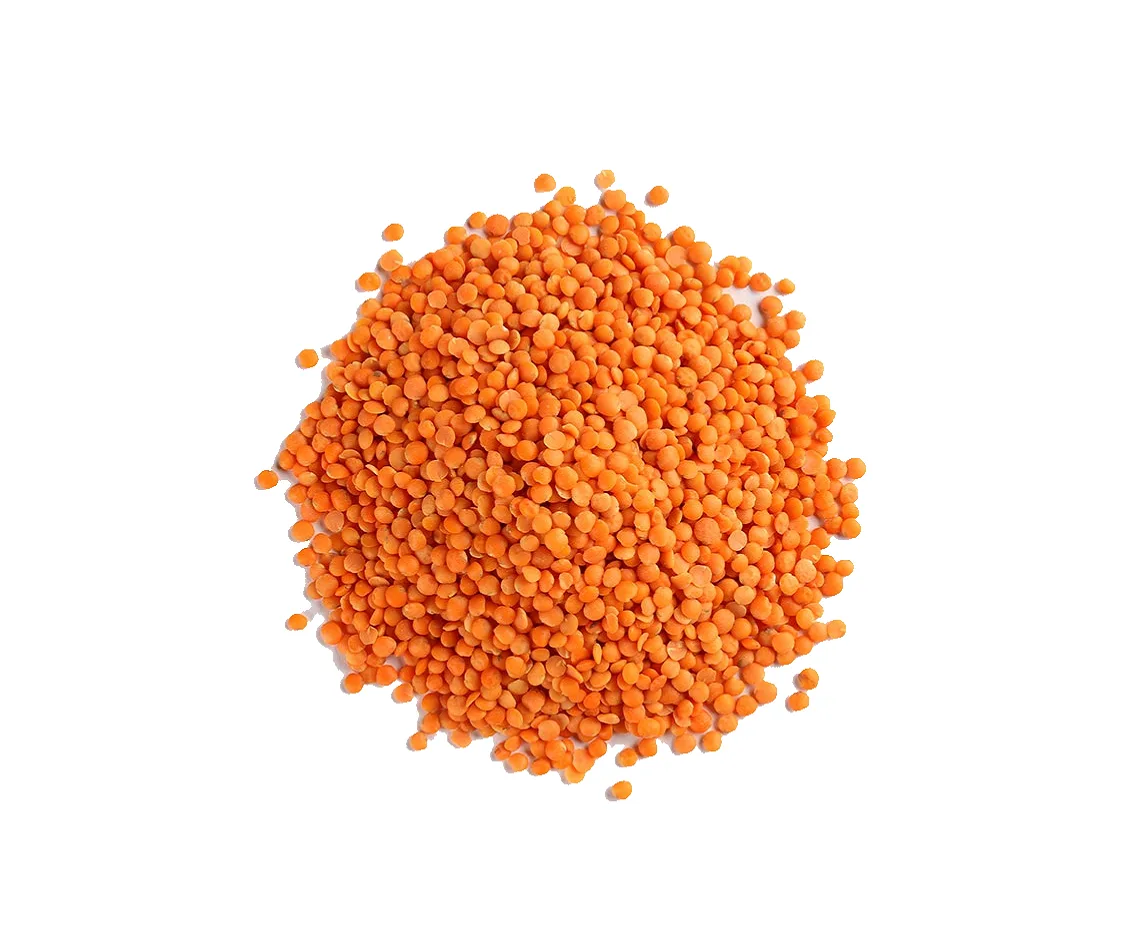 Red Lentils