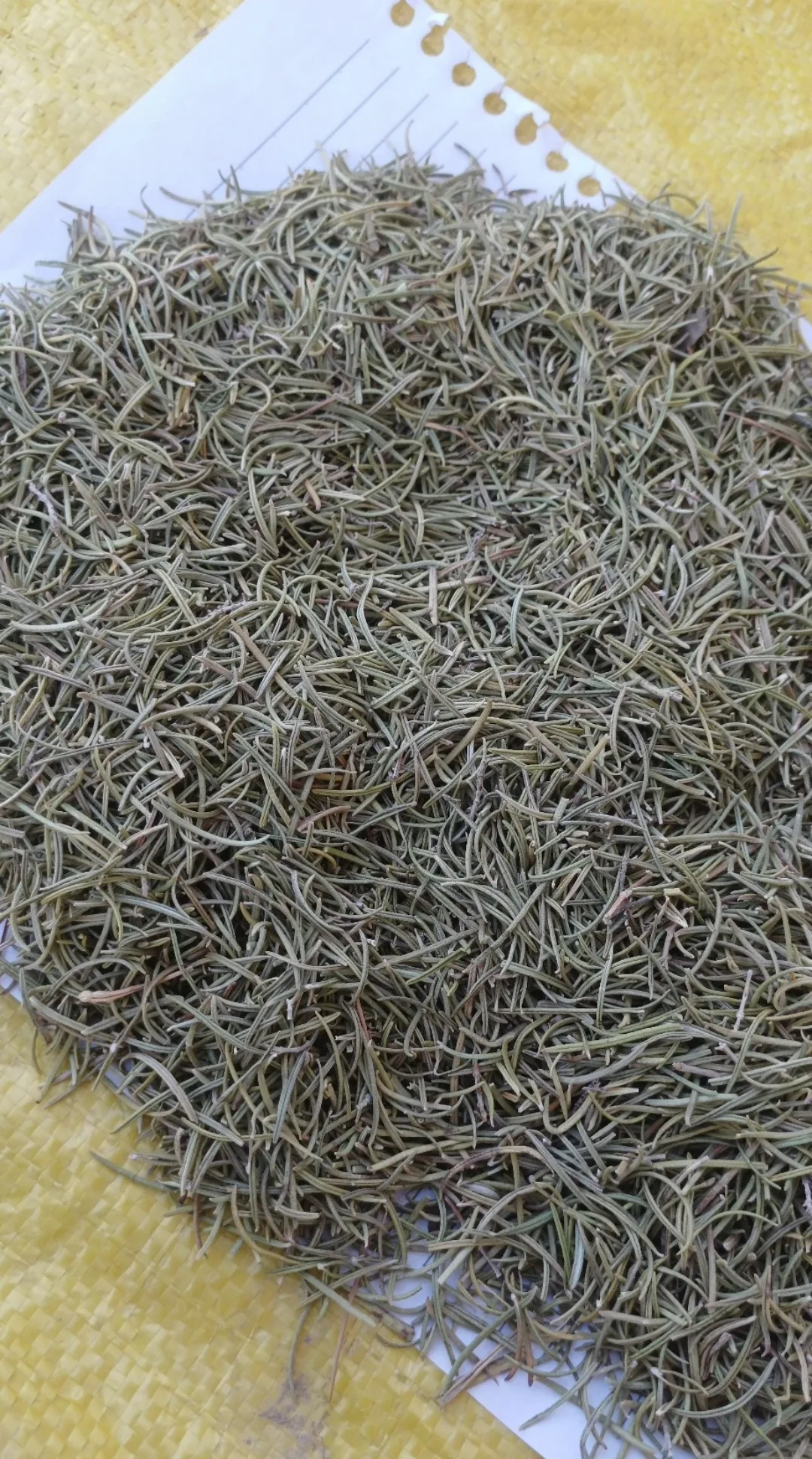 Rosemary
