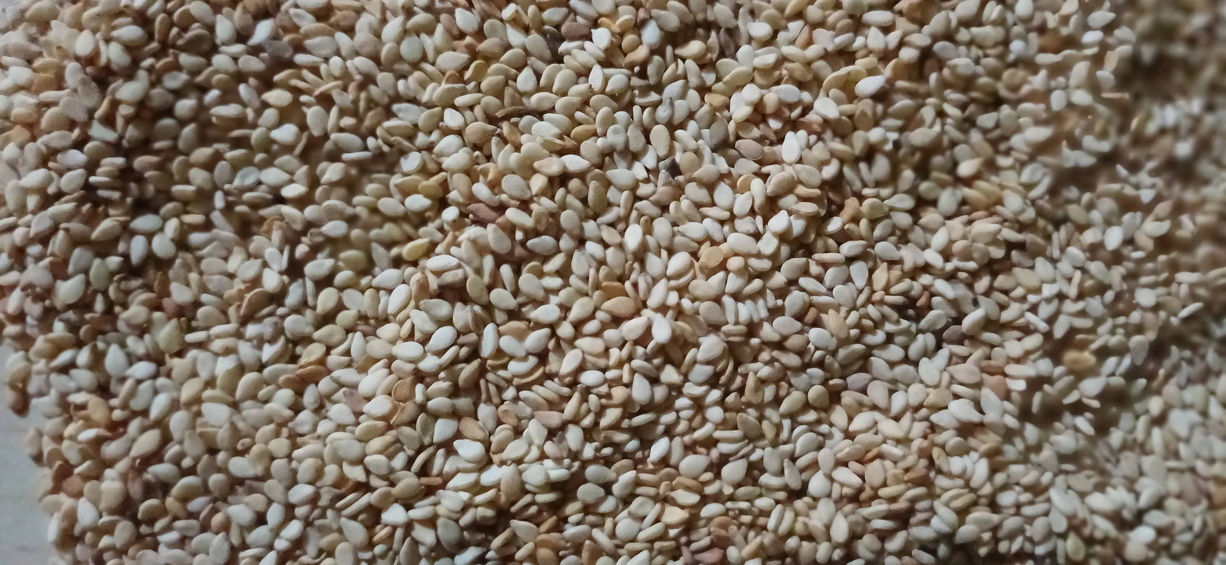 Sesame Seeds (Natural)